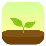 forest android application logo